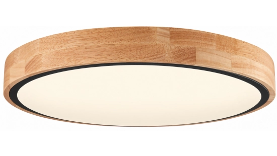 Honey wood ceiling light with black trim-3_1792760464.png
